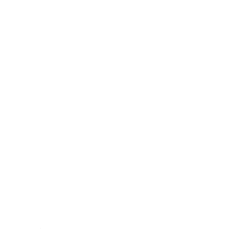 icon-tiktok